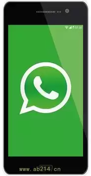Whatsapp中文版消息回执与隐私:如何兼顾,whatsapp发送消息-WhatsApp官网